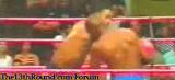 6v9kebb9wcsq4be60fez.gif