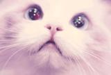e4t2uxxe92dp5muoowko.gif