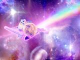 kxi9nqm3wbpqp7abe17l.jpg