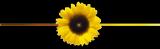 7sulujq5icl7boiqsyw.gif