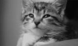 hs5zw0rs5vqoxl9amo9s.gif