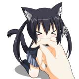 lrvcso2b8b8cpx9dn849.gif