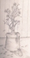 szavx5pwfjj2ly0ux6l.jpg