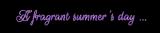 wxa9cejh1uvhsfld49r4.gif