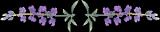 zrnxicmkoke8k1wrcnl.gif